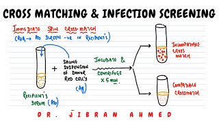 CROSS MATCHING AND SCREENING OF INFECTIONS II HEMATOLOGY II BLOOD BANKING II PATHOLOGY LECTURES II [upl. by Winnie]