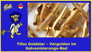 Selbst vergolden mit dem Tifoo Goldstar  Ganz einfach Vergoldungen zu Hause machen [upl. by Eniamrehc]