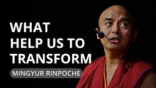 What Helps Us to Transform  teaching by Mingyur Rinpoche [upl. by Hansiain]