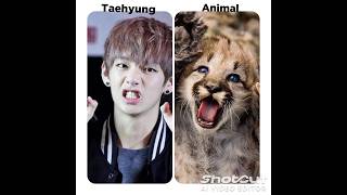 BTS member amp animal version🐯🐰btsarmy bts viral shortvideo shorts [upl. by Liberati]