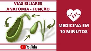 Vias Biliares Anatomia e Fisiologia [upl. by Dlonyar334]