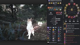 BDO  Dehkia Thornwood Forest Succession Maegu 22kh after nerfs [upl. by Sumerlin]