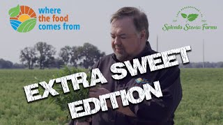 Splenda Stevia Farms A New American Industry  quotWhere the Food Comes Fromquot EXTRA Sweet Version [upl. by Anailuig695]