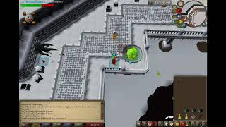 Wintertodt example run [upl. by Ennazzus]