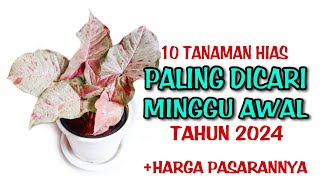 10 Tanaman Hias Paling Dicari di Minggu Awal Tahun 2024 [upl. by Ehc]