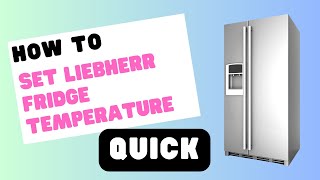 Setting the Perfect Liebherr Fridge Temperature in No Time [upl. by Eeramit]