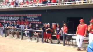 Red Land Little Leaguers introduced before Harrisburg Senators game [upl. by Atinniuq881]