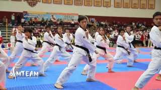 TeamM Taekwondo Demonstration  2013 California Open Taekwondo Championship [upl. by Dlanigger657]