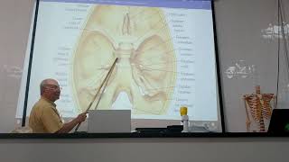 Anatomy of head amp neck 13  Skull  part 13  norma basalis interna   by Dr Wahdan [upl. by Koralie]