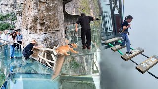 😂Scariest Cliffside Glass Walkway😱People dare to walk Funny moment Amazing chinese landscape [upl. by Taft]