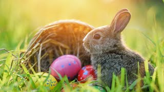 Why does Easter Sundays date change from year to year [upl. by Notsob]