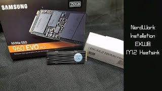 EK M2 NVMe Heatsink Installation [upl. by Zetnom208]