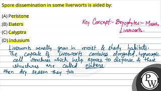 Spore dissemination in some liverworts is aided by [upl. by Picco149]