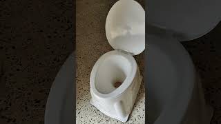 Veayva Plastic Portable Indian Toilet To Western Convertor Toilet Commode  Indian Commode Stool [upl. by Liddy]