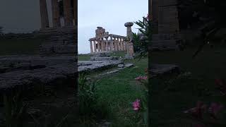 TEMPLES OF PAESTUM ITALY temples Italy history ancient paestum travel travelvlog amazing [upl. by Ahtibbat]