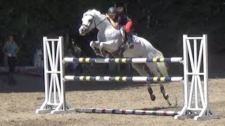 ■ 18062017  Exercice de puissance avec Clara Maitre et Milady dAuxence  Cesson Saint Leu  CSO [upl. by Ahseei]