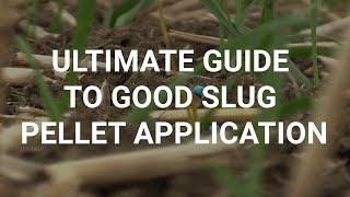 Ultimate guide to good slug pellet application [upl. by Nele]