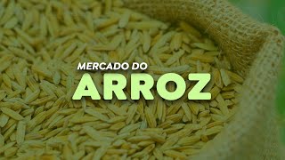 Produção de arroz deve ser de 11 milhões de toneladas na próxima safra [upl. by Anikram]