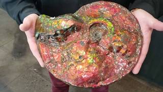 Canadian Iridescent Ammonite Fossil Ammolite  35972 [upl. by Anoid634]