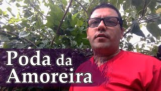 COMO FAZER A PODA DA AMOREIRA FRUTO AMORA [upl. by Leitnahs]