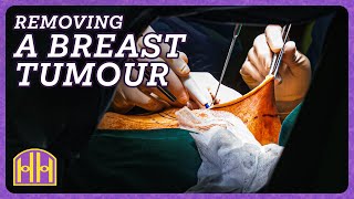 Cutting Death Out Inside the Operating Room with a Breast Cancer Surgeon  Hidden Hustles [upl. by Ivanna215]