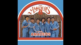 MIX DE GRUPO AMADEOS [upl. by Klatt684]