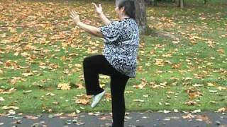 Yang Family tai chi long form second section [upl. by Stringer]