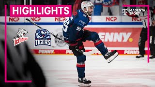 Nürnberg Ice Tigers  Straubing Tigers  Highlights PENNY DEL 2324  MAGENTA SPORT [upl. by Sibbie]