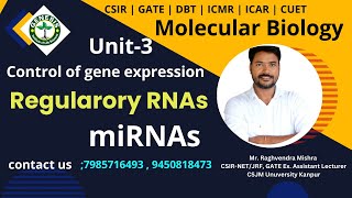 Regulatory RNAs  miRNAs  Control of Gene Expression  Unit3  Molecular Biology [upl. by Almire]