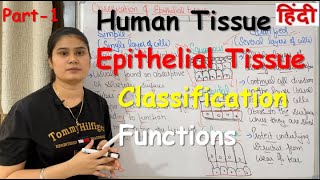 Tissue in Hindi  Epithelial Tissue  Functions  Classification  Part1 [upl. by Munro734]