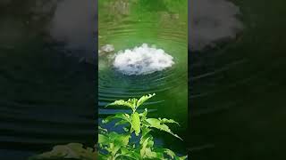 Blast fishing in paly dam by villager fishing Blast fishing palydam fishing bigfish viralfish [upl. by Adyela620]