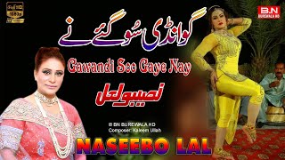 Gawandi Soo Gaye Nay  Naseebo Lal  New Punjabi Song  Mujra Dance Song 2024 [upl. by Alpert175]