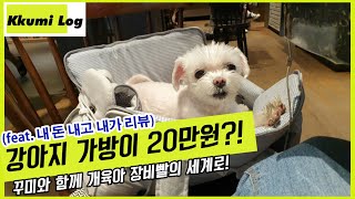 핫한 아지백큐브 돈 값을 할까  말티즈 리뷰  강아지가방 강아지 용품  애견제품 리뷰  강아지 장비 [upl. by Tnert]