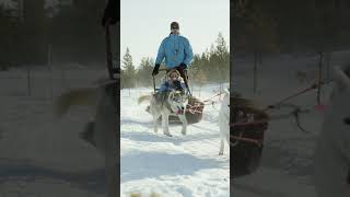 Discover The Magic Of A Lapland Holiday  Inghams Lapland [upl. by Byler]