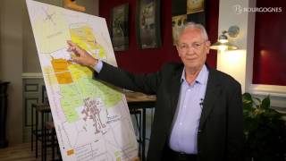 Côte de Beaune  les appellations décryptées par JeanPierre Renard [upl. by Mckale]