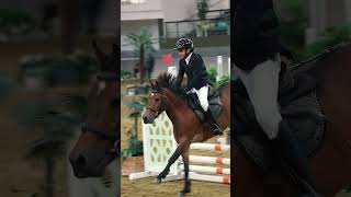 Al Shaqab Training Show 60cm Class [upl. by Miharba606]