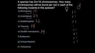 Chromosome number and ploidy mutations [upl. by Yralam]