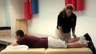 Hamstring reflex [upl. by Aneekal817]