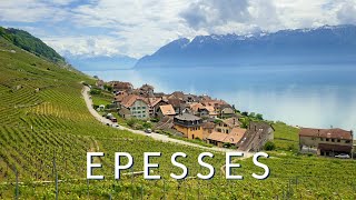 Epesses  A Swiss village in the spectacular Lavaux UNESCO region [upl. by Spitzer]