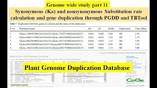 Genome wide study Part 11  synonym Ka Ks value calculation using PGDD and TBTool  gene duplication [upl. by Kcim]