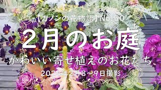 【ガーデニング】秋に鉢植えしたお花たちの2月の様子です。春になると花数も増えて色鮮やかになっていきますが、今の様子をご覧ください。 [upl. by Luba233]