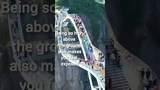 What are some facts about the glass bridge in China shorts shortfeed youtubeshorts facts [upl. by Ynittirb165]