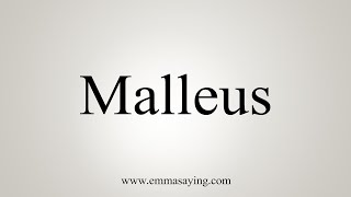 How To Say Malleus [upl. by Berns]