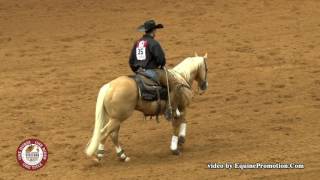 2017 Worlds Greatest Horseman Champions Heza Diamond Spark and John Swales [upl. by Mozes749]