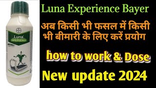 Luna Experience Bayer  Luna Bayer fungicide  How to work amp Dose lunafungicidebayer bayer [upl. by Aljan]