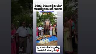 trendingvideos akhilaelaphant elephant bhagawatgita [upl. by Llenrub]