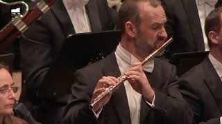 MAHLER  9th Symphony 1st mov  Flute Solo McCall [upl. by Kisor]