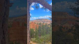 Hoodoos in Bryce Canyon National Park nationalpark [upl. by Aurel42]