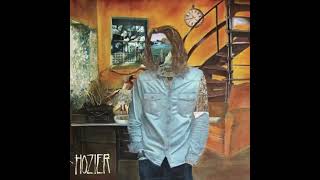 Hozier  Work Song Vinyl Emulated 8D hozier 8daudio [upl. by Ciro31]