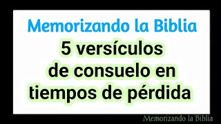 5 textos bíblicos de consuelo en tiempos de pérdida fortaleza en la aflicción [upl. by Webster]